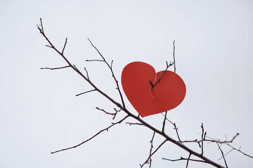 Los Ídolos del Corazón